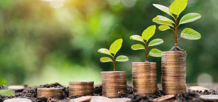 outside, coins are laying in soil. there are five stacks of coins, each to the right taller than the last. a sapling is on each of the last three stacks, each again slightly larger than the last, showing growth over time.