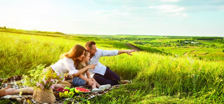 Staycation All I Ever Wanted Family of three sitting on a picnic blanket with food and flowers. From a grassy hill in a field, they are looking out into the distance pointing at, and experiencing, something new together.
